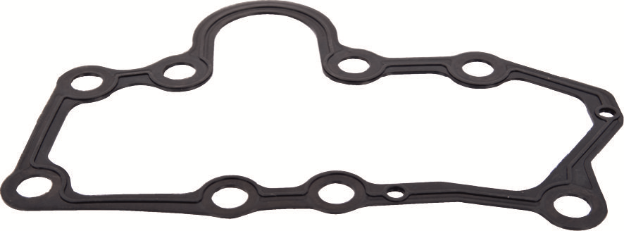 Caliper Gasket 