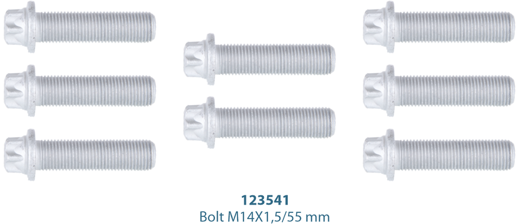 Caliper Cover Bolt Kit