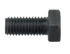 [183517] Caliper Bolt M12X2/25 mm