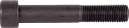 [123527] Caliper Bolt M20X2/125 mm