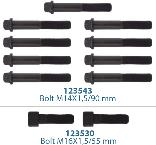 [122316] Caliper Cover Bolt Kit