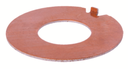 Caliper Washer 